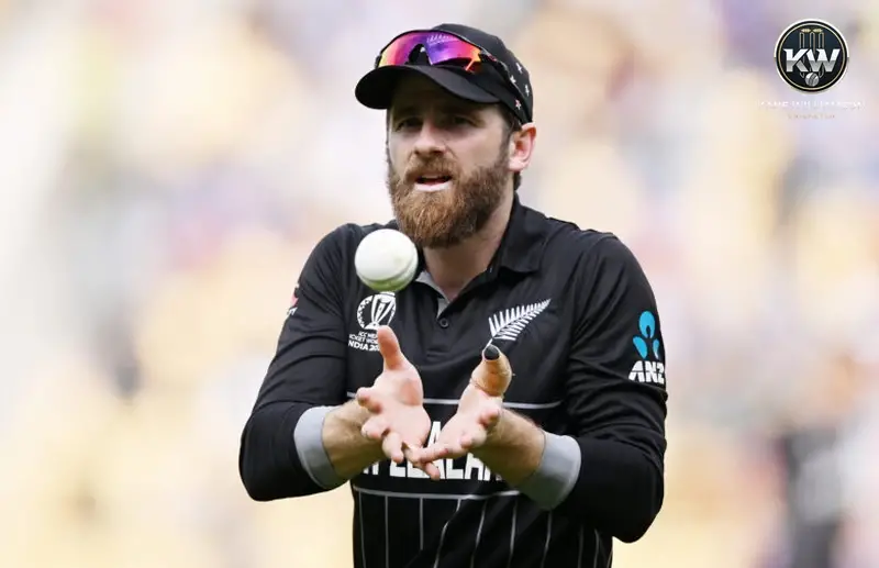 kane williamson world test champion 690c1a6317a6d