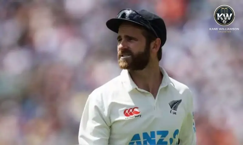 overview of kane williamson s leadership transition 690c1a5adc0c8